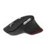 Acer Easy Fit Mouse - Black, Wireless RF 2.4GHz + BT (2x) + USB