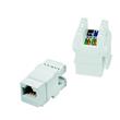 DATACOM Keystone RJ45 UTP CAT6 (DUAL) SLIM bílý