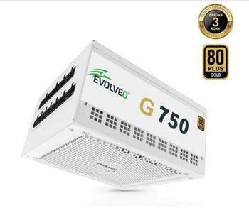 EVOLVEO G1000 PCIe 5.0, zdroj 1000W, ATX 3.0, 80+ GOLD, 90% účinnost, aPFC, 140m