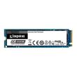 Kingston Flash 480G DC2000B PCIe 4.0 M.2 2280 Enterprise SSD