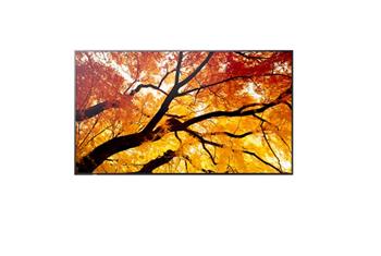 Sharp 43" MultiSync M432 24/7, 550 cd, IPS E-LED, 3840x2160,16:9, 8ms, 8000:1, DP, 2x HDMI, USB-