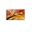 Sharp 43" MultiSync M432 24/7, 550 cd, IPS E-LED, 3840x2160,16:9, 8ms, 8000:1, DP, 2x HDMI, USB-
